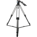 Sirui BCT-2203 Carbon Fiber Tripod & BCH-20 Video Head Bundle