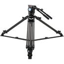 Sirui BCT-2203 Carbon Fiber Tripod & BCH-20 Video Head Bundle