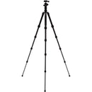 Benro Tripster Travel Tripod (0 Series, Black, Aluminum)