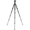 Benro Tripster Travel Tripod (0 Series, Black, Aluminum)