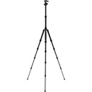 Benro Tripster Travel Tripod (0 Series, Black, Aluminum)