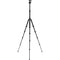 Benro Tripster Travel Tripod (0 Series, Black, Aluminum)