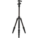 Benro Tripster Travel Tripod (0 Series, Black, Carbon Fiber)