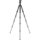 Benro Tripster Travel Tripod (0 Series, Black, Carbon Fiber)