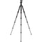 Benro Tripster Travel Tripod (0 Series, Black, Carbon Fiber)