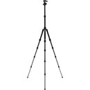 Benro Tripster Travel Tripod (0 Series, Black, Carbon Fiber)