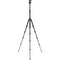 Benro Tripster Travel Tripod (0 Series, Black, Carbon Fiber)