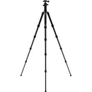 Benro Tripster Travel Tripod (1 Series, Black, Aluminum)