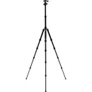 Benro Tripster Travel Tripod (1 Series, Black, Aluminum)