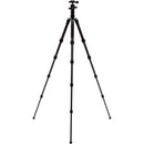 Benro Tripster Travel Tripod (1 Series, Black, Carbon Fiber)