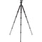 Benro Tripster Travel Tripod (1 Series, Black, Carbon Fiber)