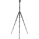 Benro Tripster Travel Tripod (1 Series, Black, Carbon Fiber)