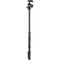 Manfrotto Befree 2N1 Aluminum Tripod with 494 Ball Head (Lever Lock)