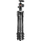 Manfrotto Befree 2N1 Aluminum Tripod with 494 Ball Head (Lever Lock)