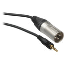 Sony EC-0.46BX 3-pole Locking Mini-Plug to XLR Cable (Male)