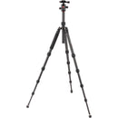 Oben CT-3565 Carbon Fiber Tripod and BZ-217T Triple-Action Ball Head