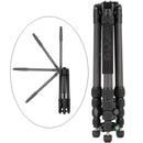 Oben CT-3565 Carbon Fiber Tripod and BZ-217T Triple-Action Ball Head