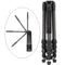 Oben CT-3565 Carbon Fiber Tripod and BZ-217T Triple-Action Ball Head