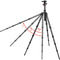 Oben CT-3565 Carbon Fiber Tripod and BZ-217T Triple-Action Ball Head