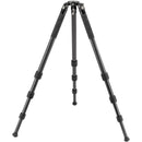 Robus RC-8880 Vantage Series 5 Carbon Fiber Tripod and Oben GH-30 Gimbal Head Kit