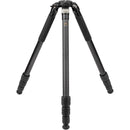 Robus RC-8880 Vantage Series 5 Carbon Fiber Tripod and Oben GH-30 Gimbal Head Kit