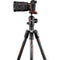 Manfrotto Befree GT Travel Carbon Fiber Tripod with 496 Ball Head for Sony a Series Cameras (Black)