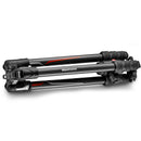 Manfrotto Befree GT Travel Carbon Fiber Tripod with 496 Ball Head for Sony a Series Cameras (Black)