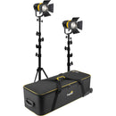 Genaray Torpedo Bi-Color LED 2-Light Kit with Case