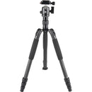 Sirui T-024SK Carbon Fiber Tripod with B-00 Ball Head (Black)