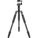 Sirui T-024SK Carbon Fiber Tripod with B-00 Ball Head (Black)