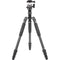 Sirui T-024SK Carbon Fiber Tripod with B-00 Ball Head (Black)