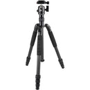 Sirui T-024SK Carbon Fiber Tripod with B-00 Ball Head (Black)