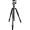 Sirui T-024SK Carbon Fiber Tripod with B-00 Ball Head (Black)