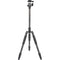 Sirui T-024SK Carbon Fiber Tripod with B-00 Ball Head (Black)