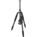 Sirui T-024SK Carbon Fiber Tripod with B-00 Ball Head (Black)