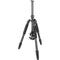 Sirui T-024SK Carbon Fiber Tripod with B-00 Ball Head (Black)