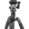 Sirui T-024SK Carbon Fiber Tripod with B-00 Ball Head (Black)