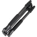 Sirui T-024SK Carbon Fiber Tripod with B-00 Ball Head (Black)