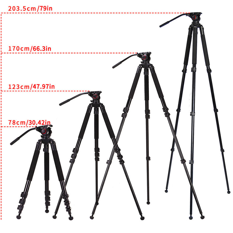 miliboo MTT702B Professional Carbon Fiber Tripod (Legs Only)