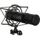 Slate Digital ML-1 VMS Large-Diaphragm Modeling Microphone (Matte Black)