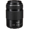 Panasonic Lumix G X Vario PZ 45-175mm f/4-5.6 ASPH. POWER O.I.S. Lens