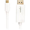 Rocstor USB Type-C to DisplayPort 4K Cable (6', White)