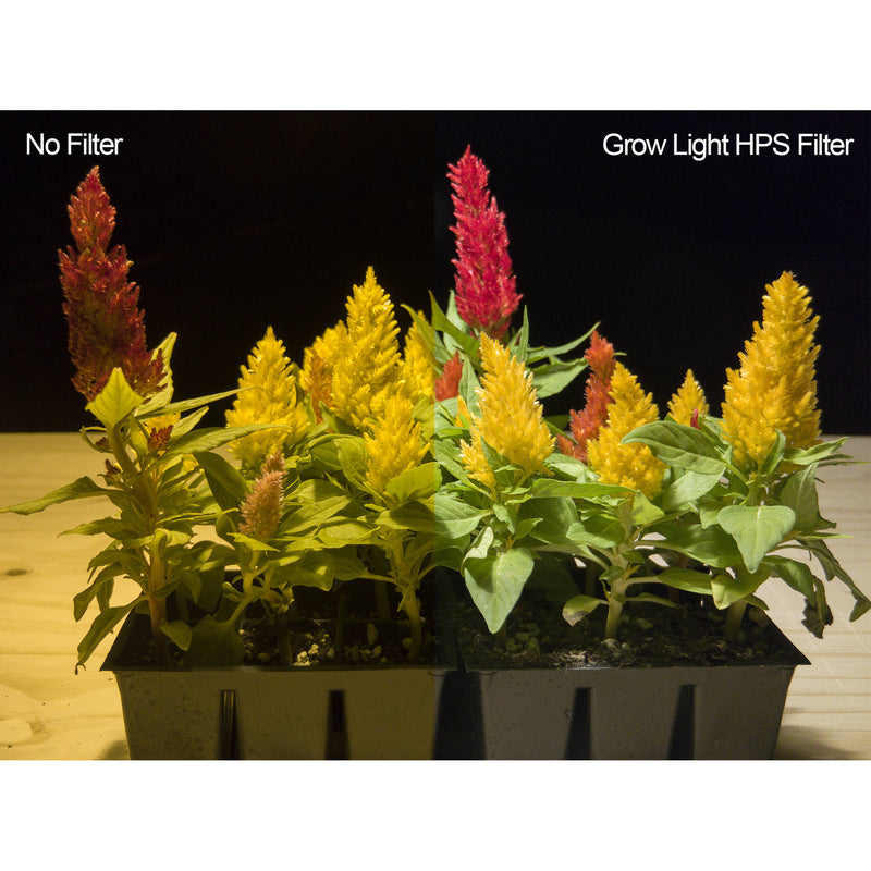 Hoya 82mm HPS Grow Light Filter Kit