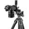 Gitzo GT3532 Mountaineer Series 3 Carbon Fiber Tripod with 3-Way Fluid Head Kit