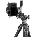 Gitzo GT3532 Mountaineer Series 3 Carbon Fiber Tripod with 3-Way Fluid Head Kit