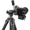 Gitzo GT3532 Mountaineer Series 3 Carbon Fiber Tripod with 3-Way Fluid Head Kit