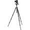 Gitzo GT3532 Mountaineer Series 3 Carbon Fiber Tripod with 3-Way Fluid Head Kit