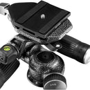 Gitzo GT3532 Mountaineer Series 3 Carbon Fiber Tripod with 3-Way Fluid Head Kit