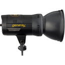 Genaray PortaBright Daylight LED Battery-Powered Monolight Display Kit