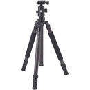 Sirui R2204 Carbon Fiber Tripod